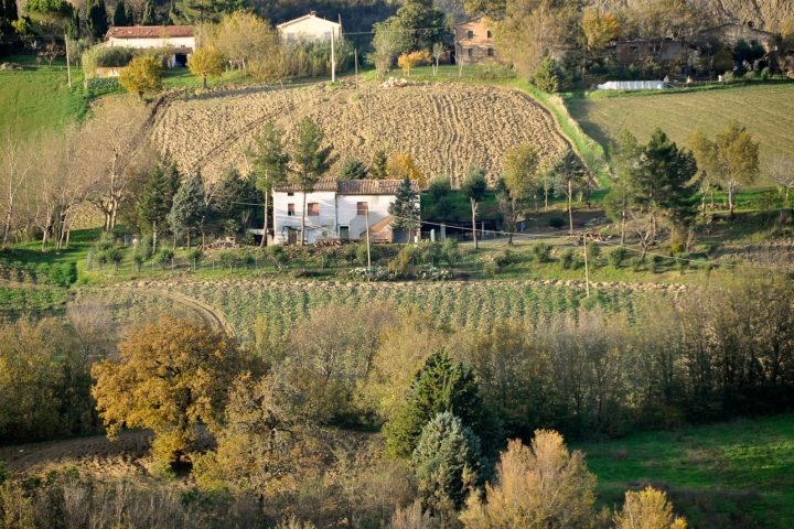 loccioni-identità-territorio-rotorscio